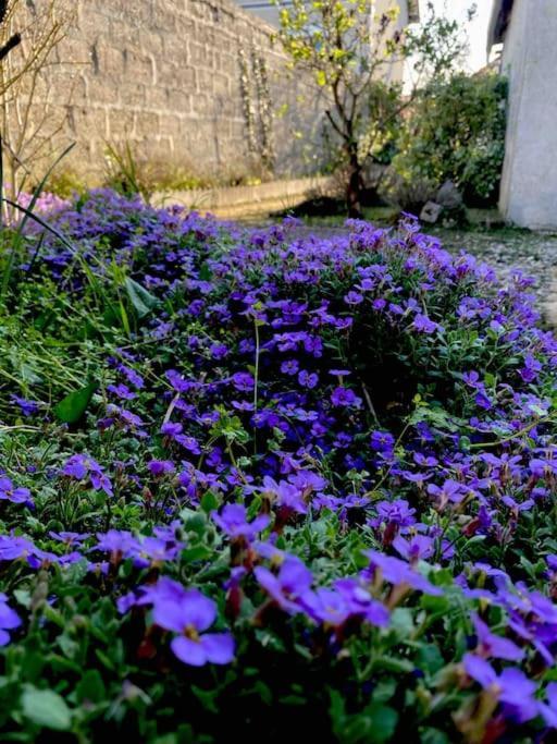 Le Ni' De Jess Βίλα Migennes Εξωτερικό φωτογραφία